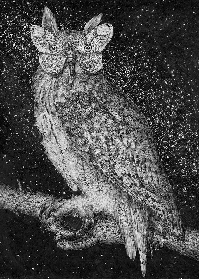 Camouflage and Stars