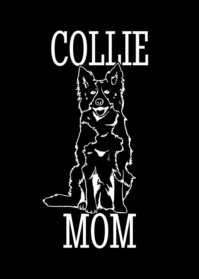 Border Collie Enthusiast