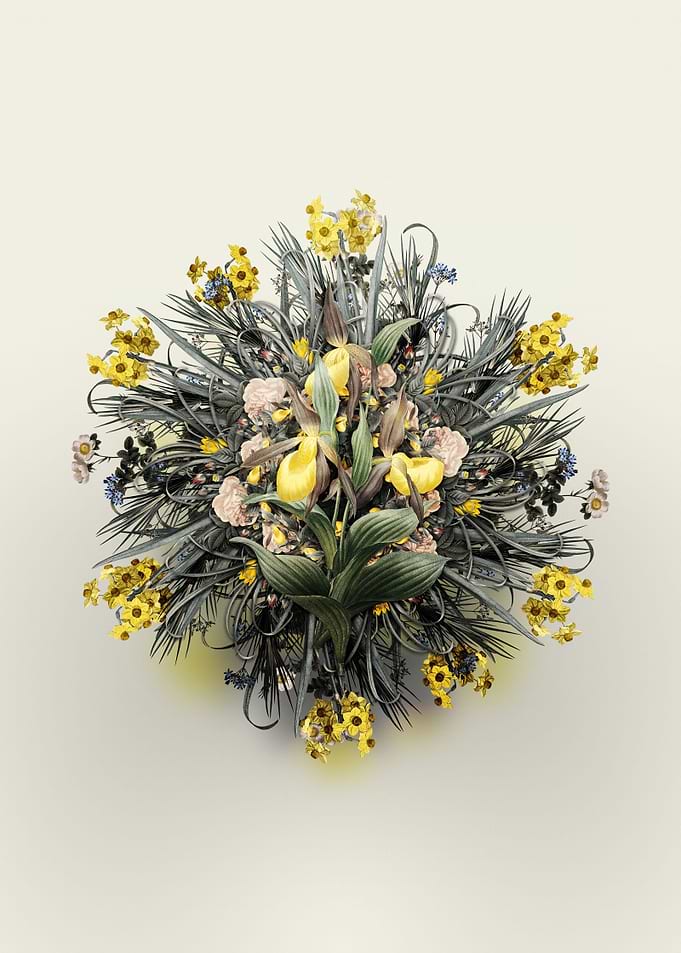 Sabot des Alpes Wreath