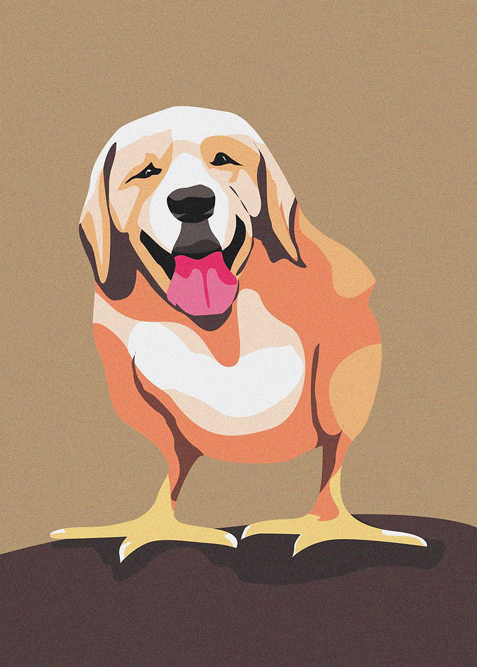 Dog Duck