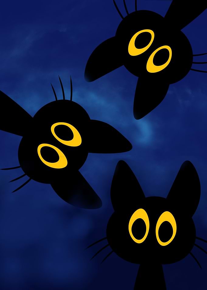 Black Cats