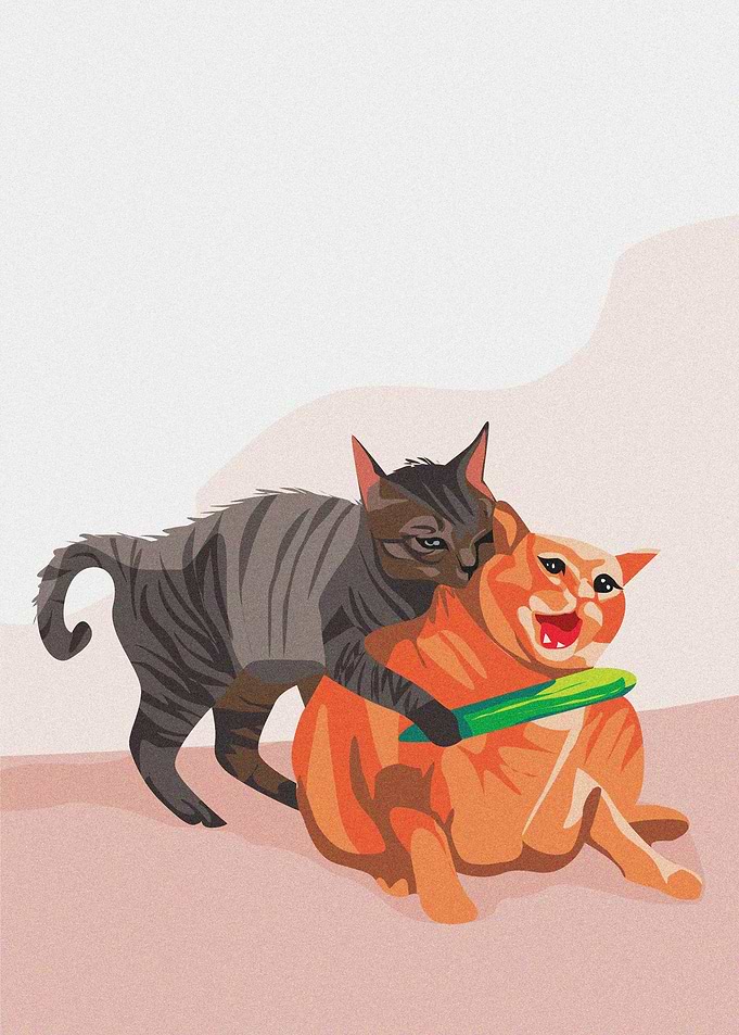 Cat Cucumber