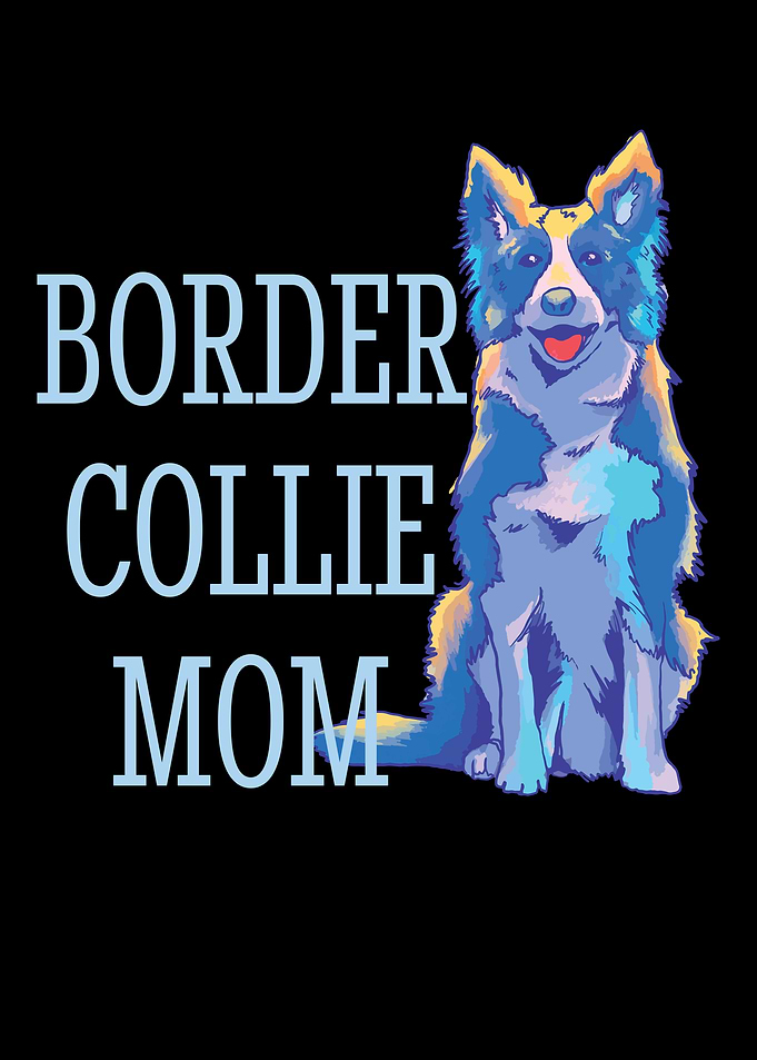 Border Collie Enthusiasts