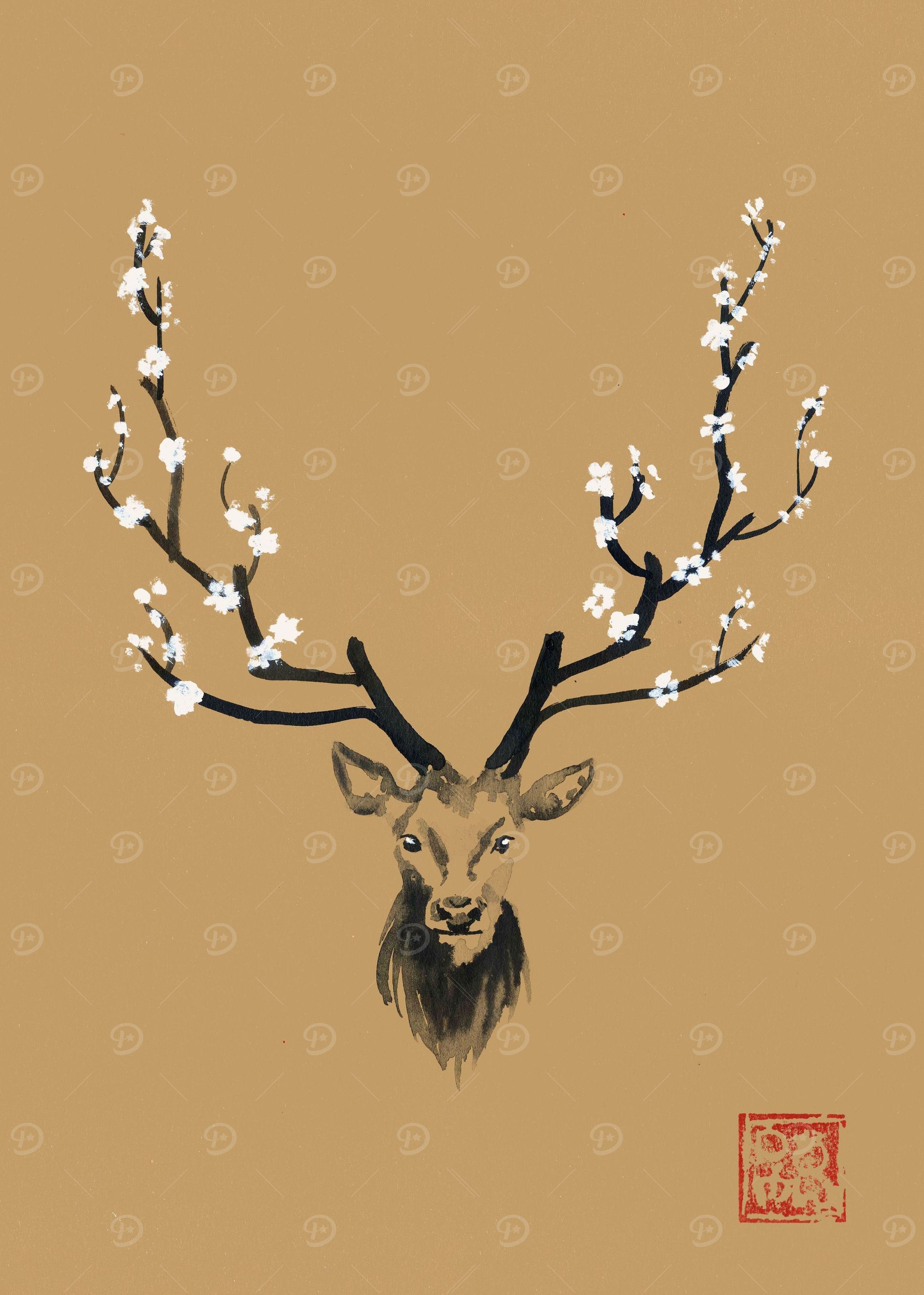deer blossom