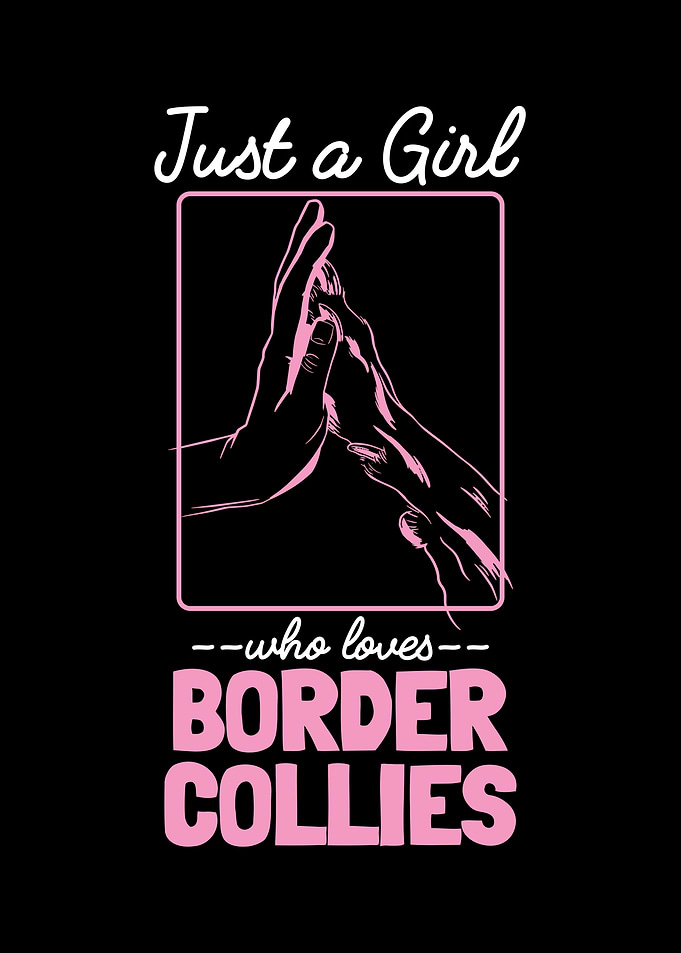 Border Collie Enthusiasts