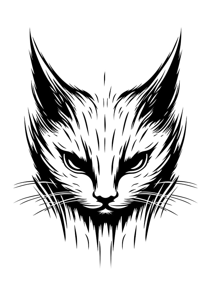 Angry Cat