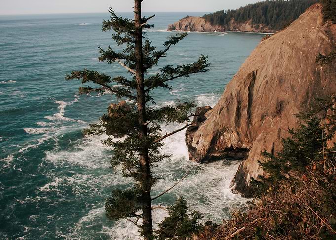 The Oregon Coast