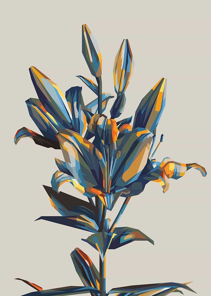 Lily flower