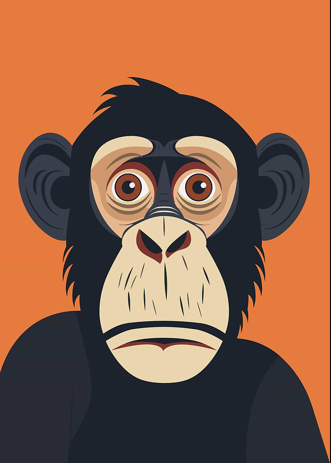 Funny Monkey