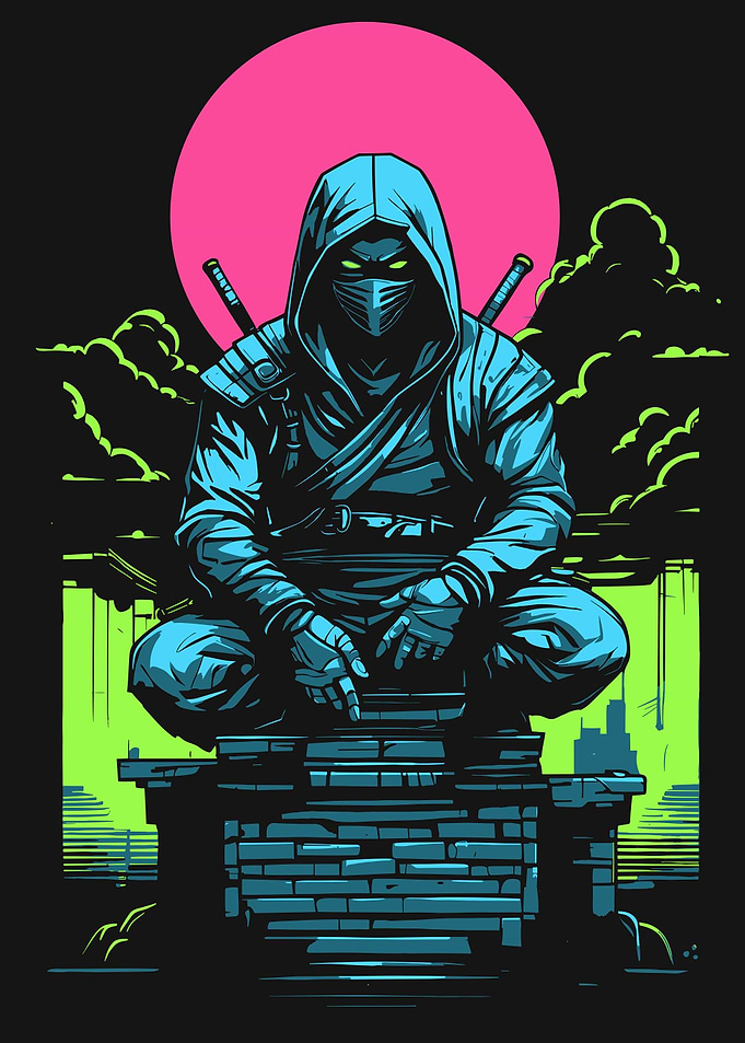 ninja warrior pop art