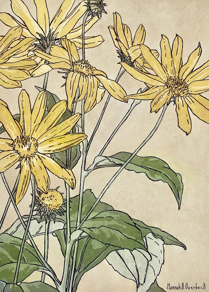 Sunflowers Vintage Floral