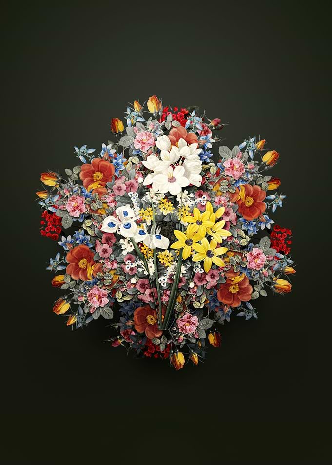 Corn Lily Flower Wreath