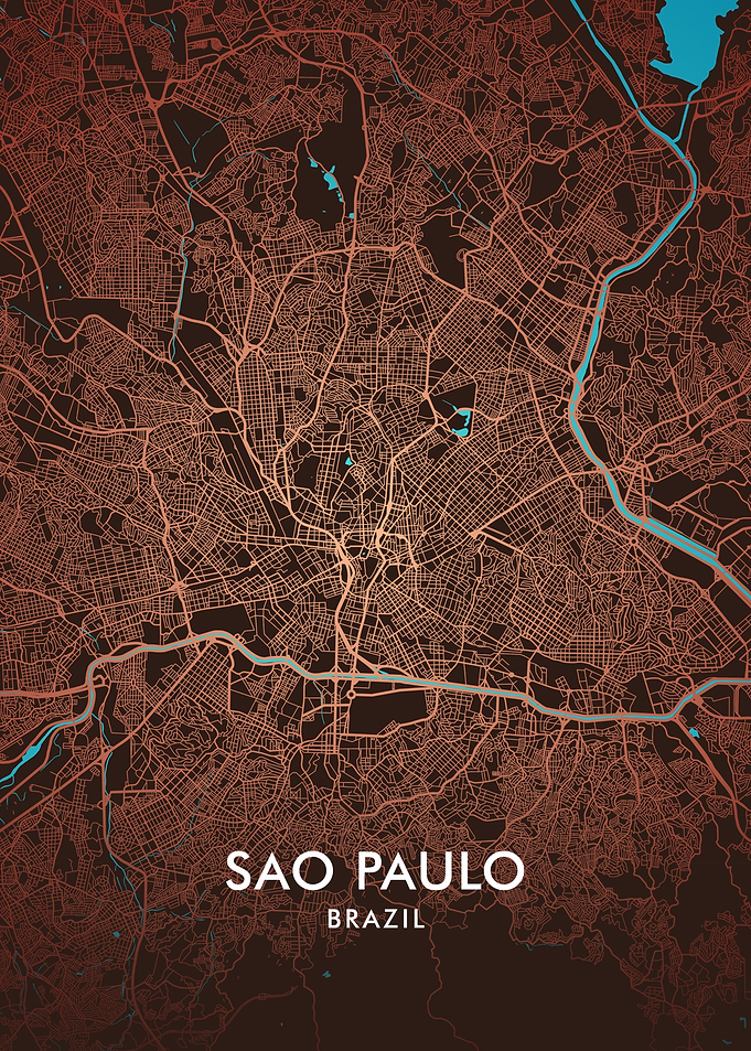 Sao Paulo City Map