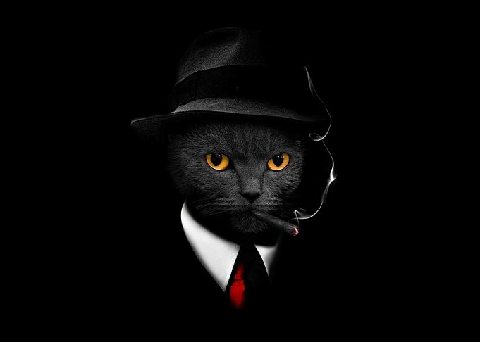 BLACK CAT HAT POSTER