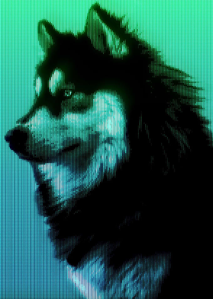 Dog Analog Digital Monitor