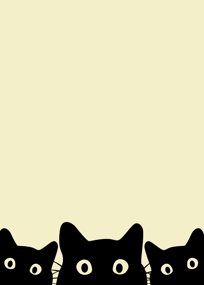 Three Black Cats 2