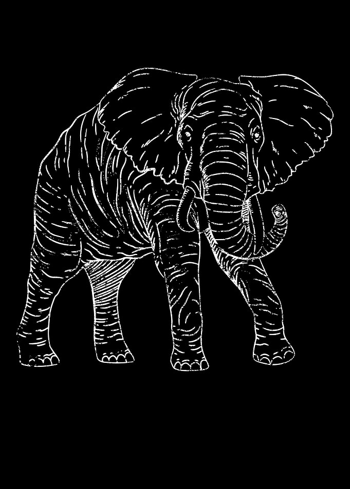 Elephant Spirit Animal