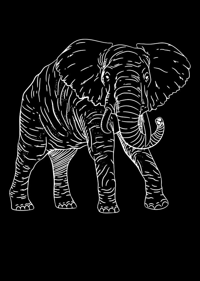 Elephant Spirit Animal