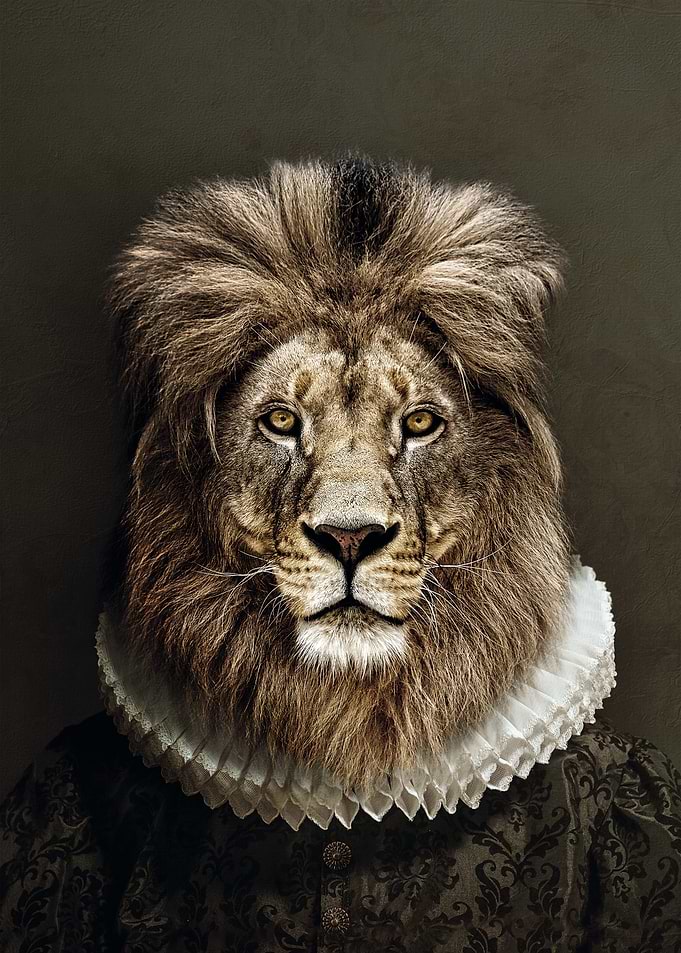 Classy Lion No2