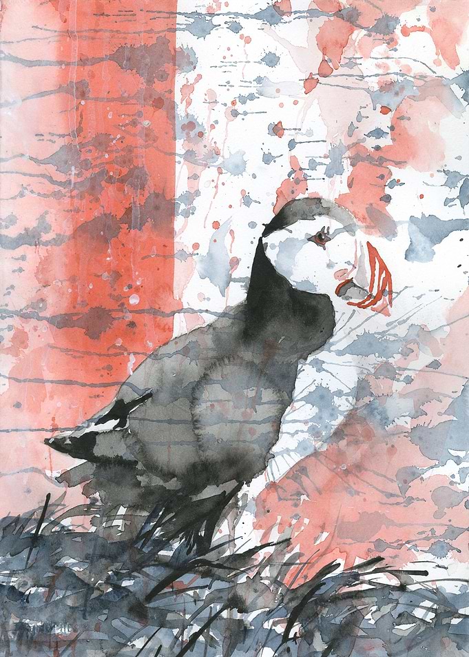 Iceland puffin painting