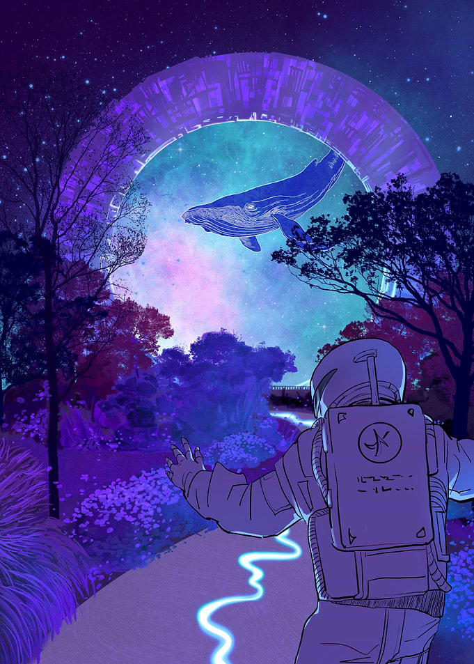 Landing on the planet