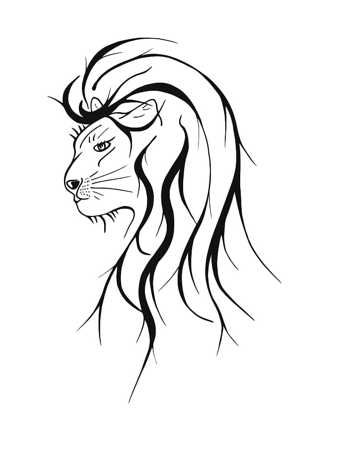 Black and white lion