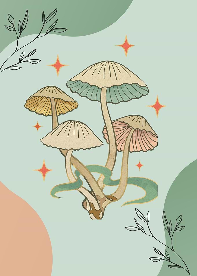 Modern Minimalist Mushroom