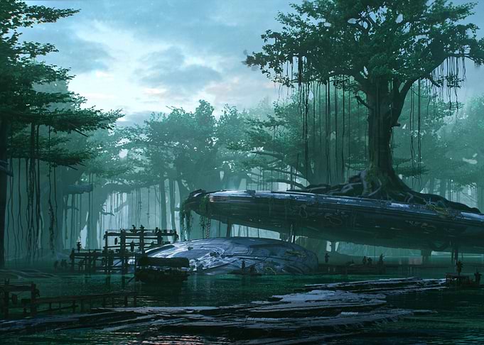 Sunset in the swamp
