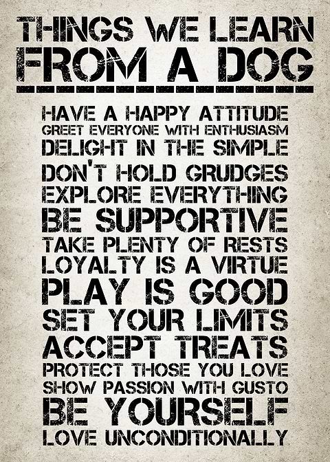 Life Lessons from Dogs
