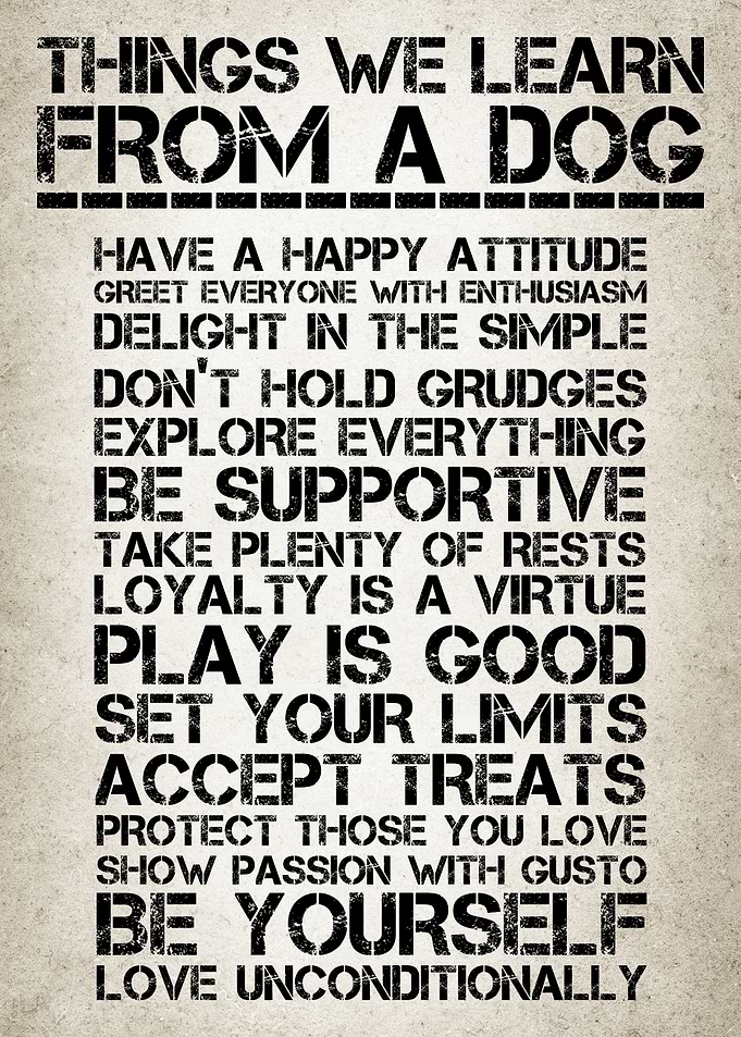 Life Lessons from Dogs