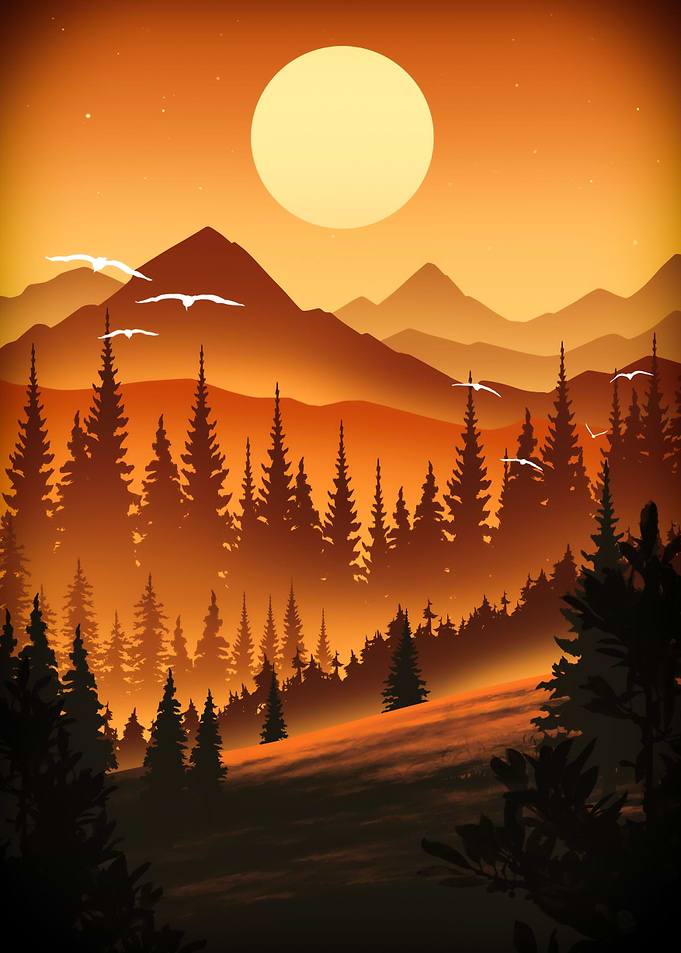 Pine Forest
