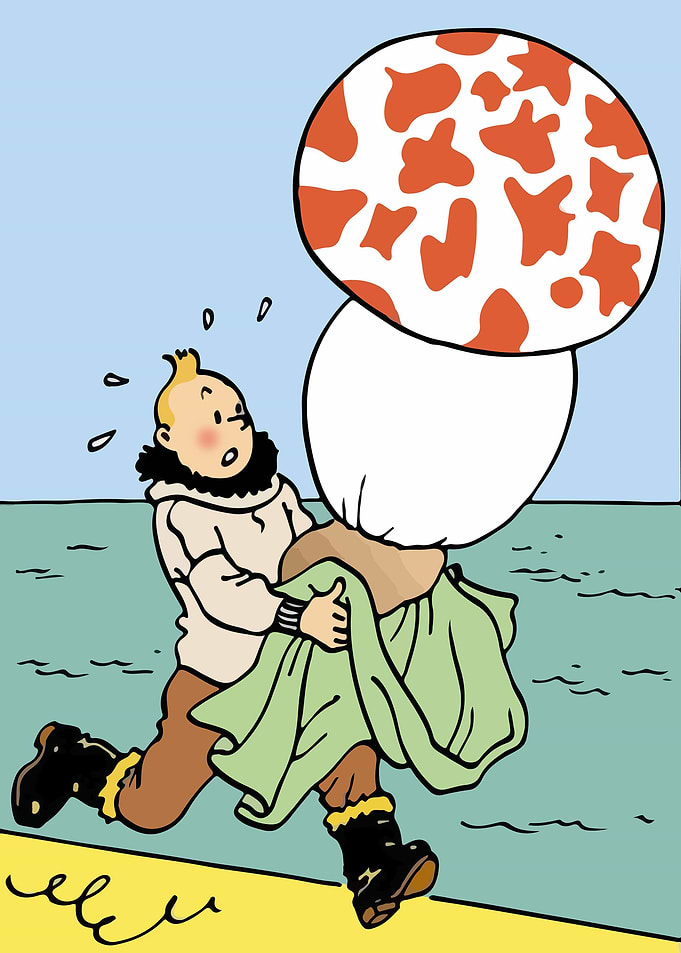 tintin mushroom magic