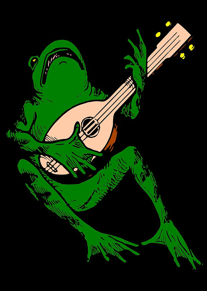 Music Lover