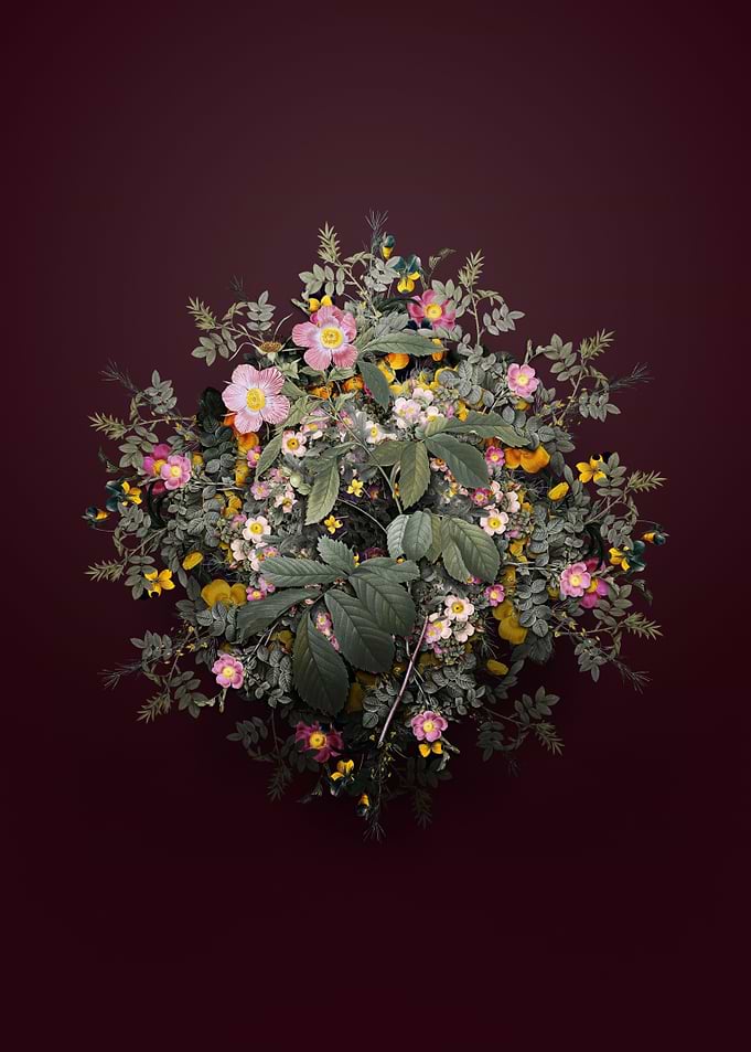 Pink Alpine Roses Wreath