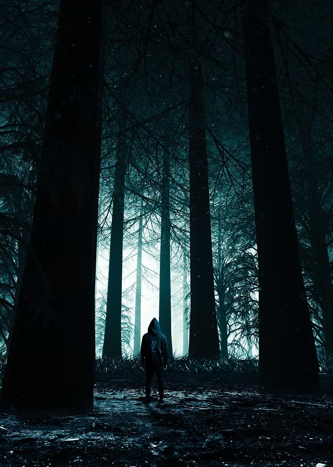 A Forest At Night