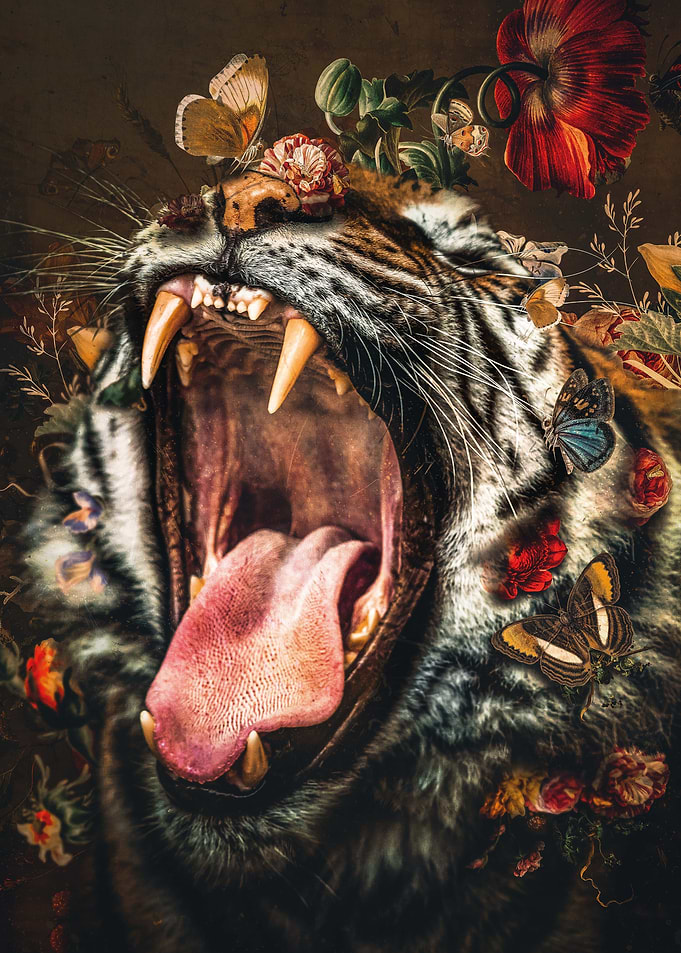 Tiger No2