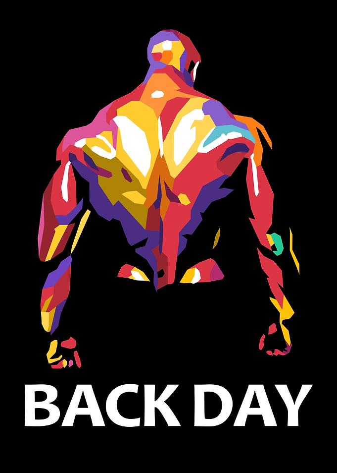 Gym Back Day