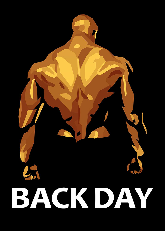 Gym Back Day