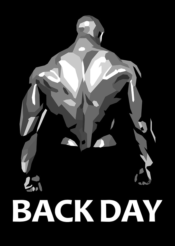 Gym Back Day
