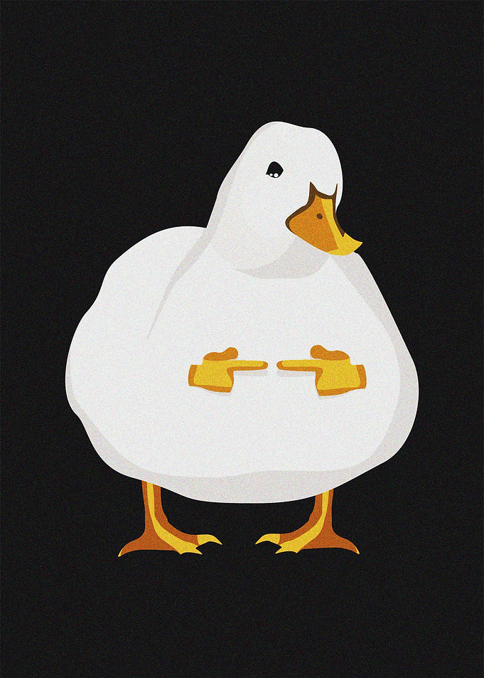 Shy Duck