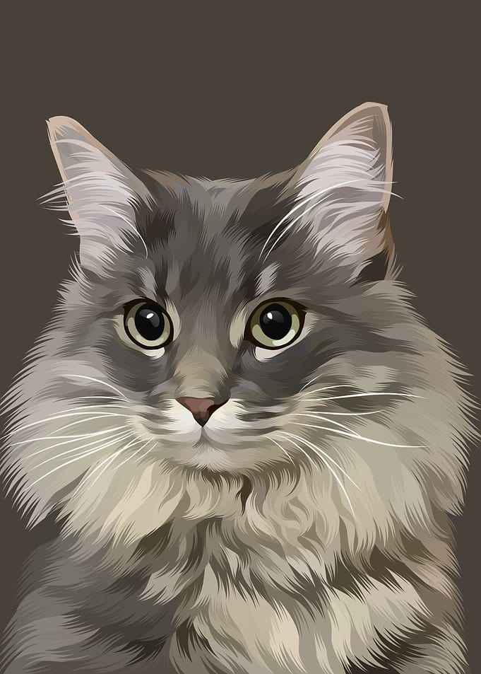 Cute Cat Looking at You