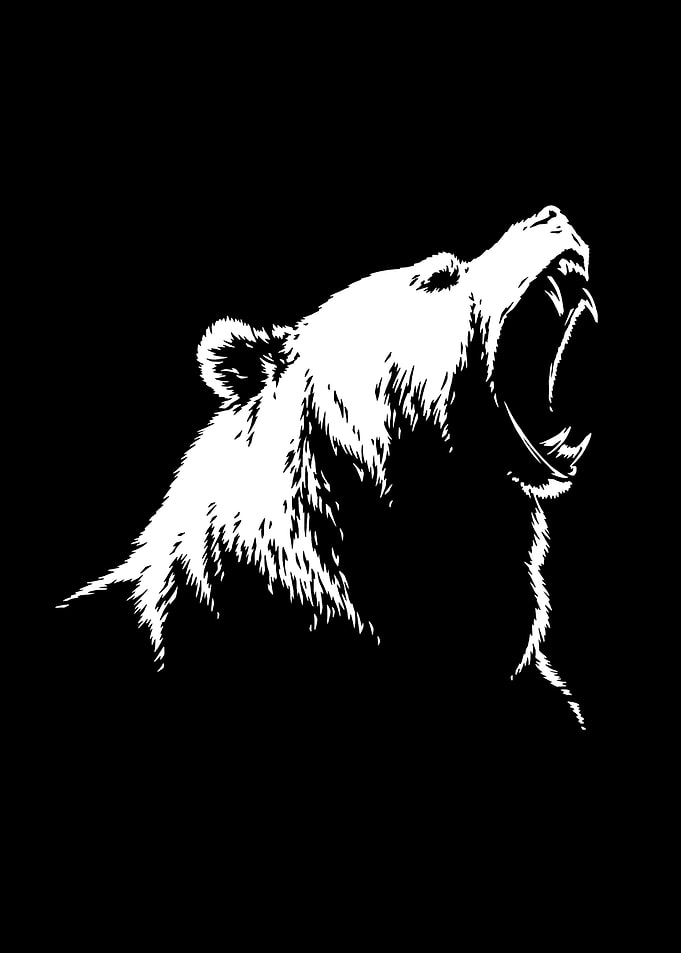 Bears