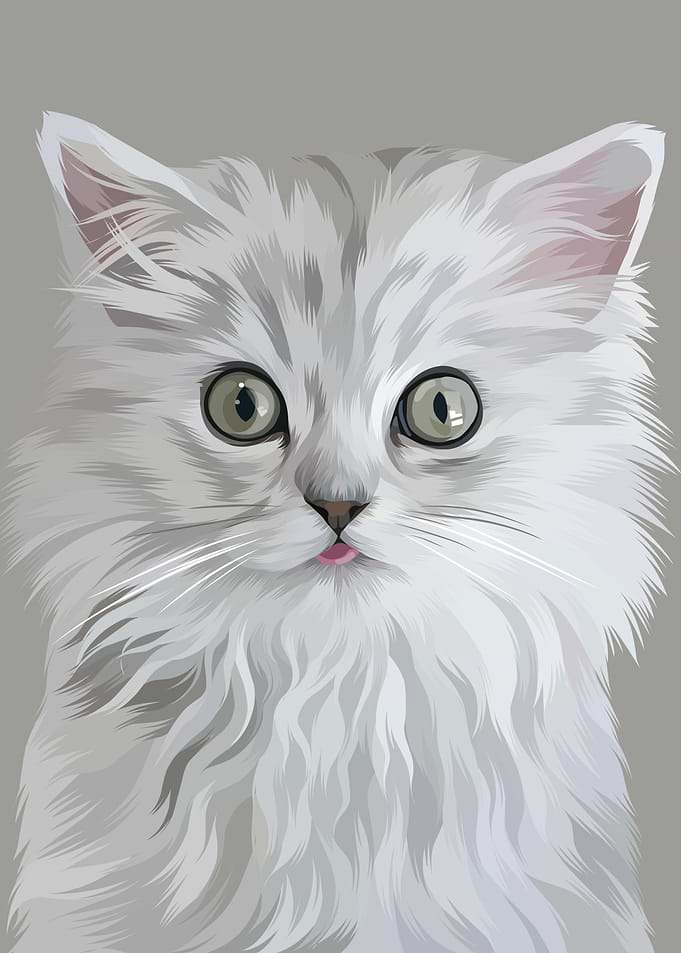 Horror Grey Cat