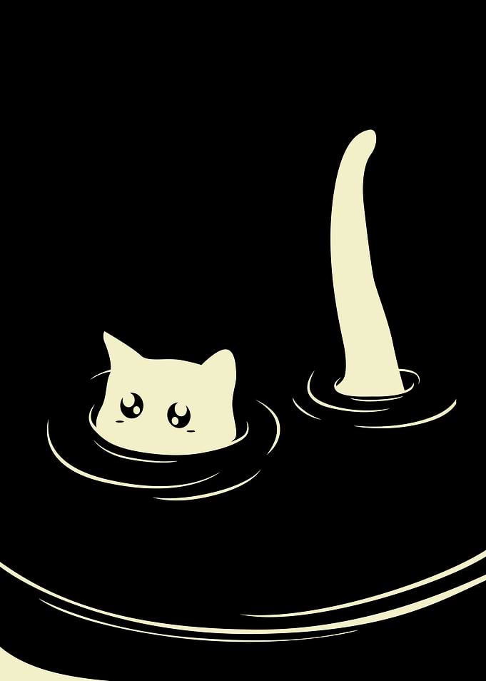 White Cat Swimming