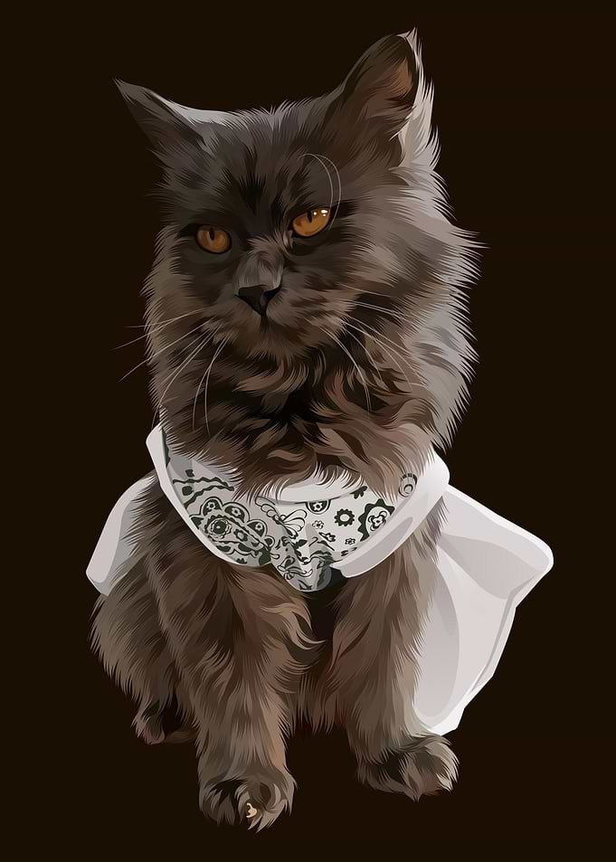 Mysterious Grey Cat