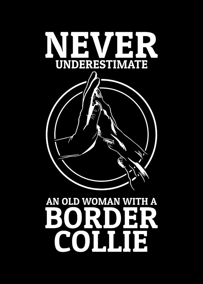 Border Collie Enthusiasts