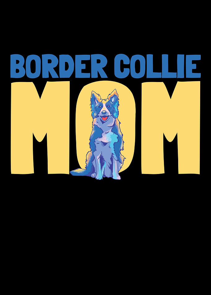 Border Collie Enthusiast