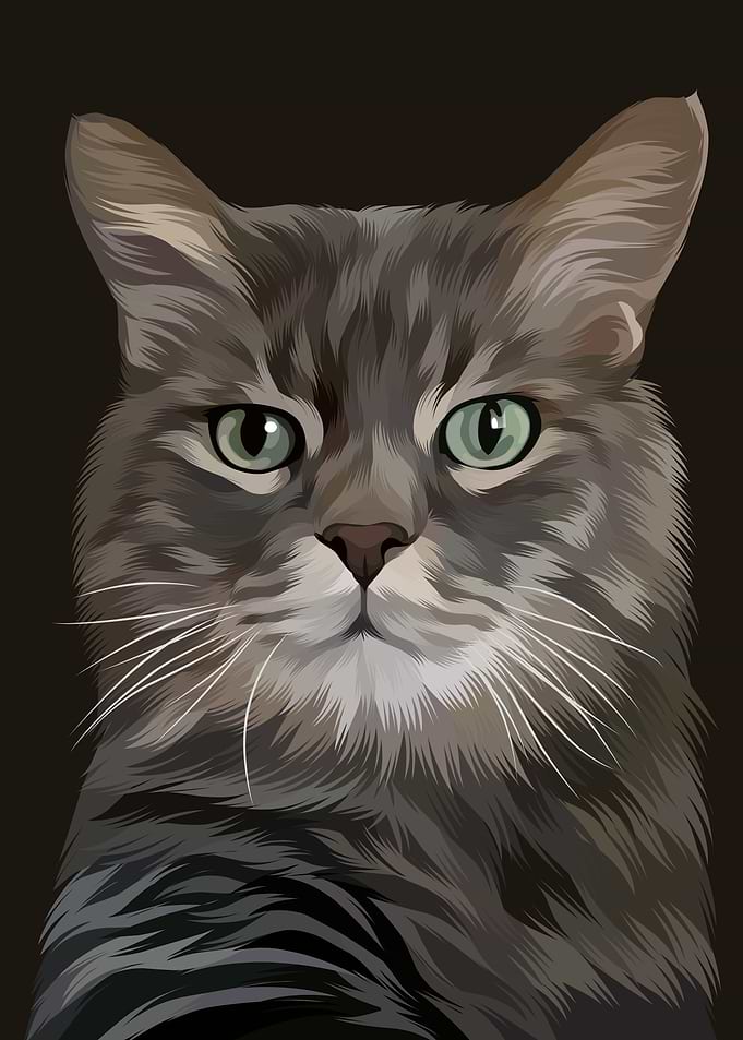 Serious Grey Cat