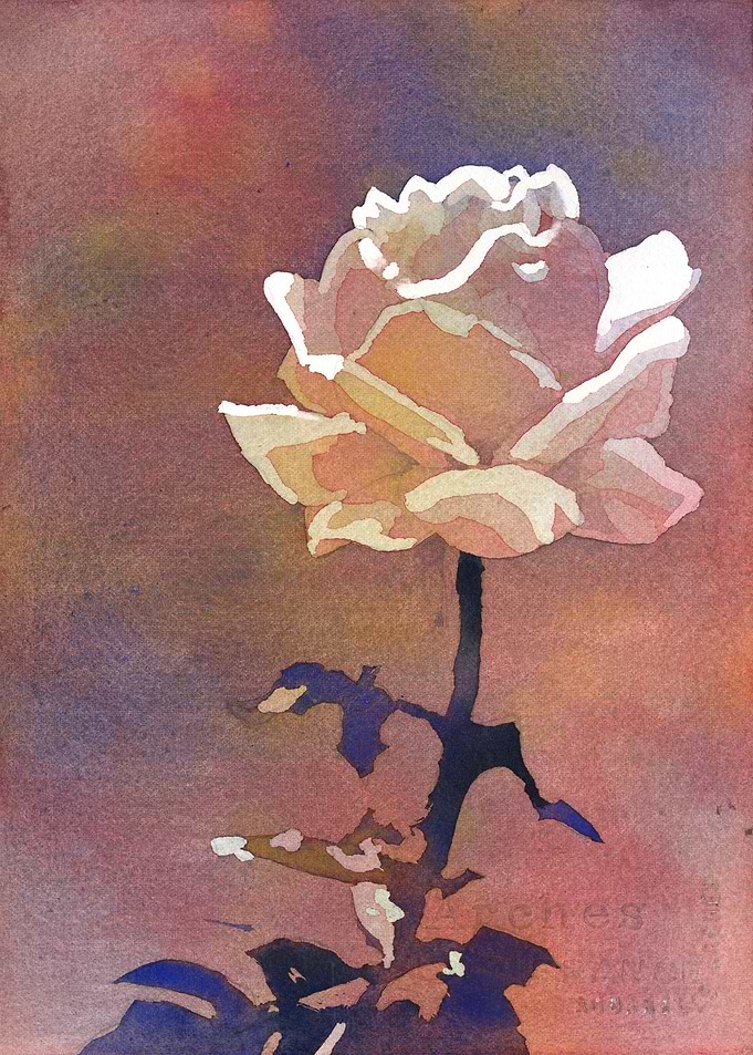 White rose watercolor art