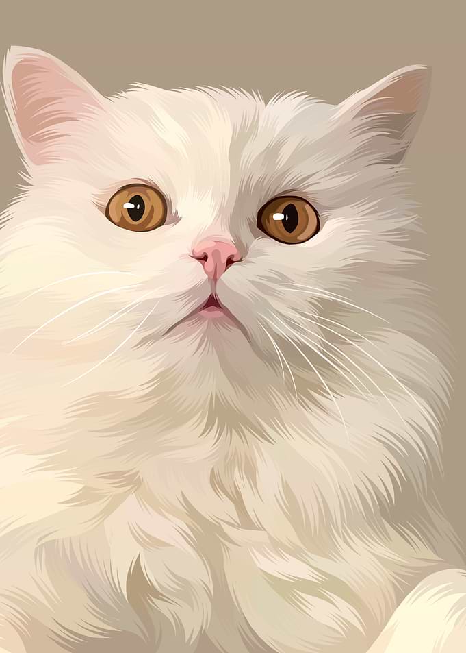 Cute White Cat